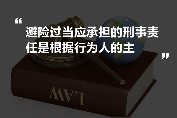 避险过当应承担的刑事责任是根据行为人的主