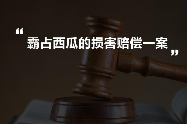 霸占西瓜的损害赔偿一案