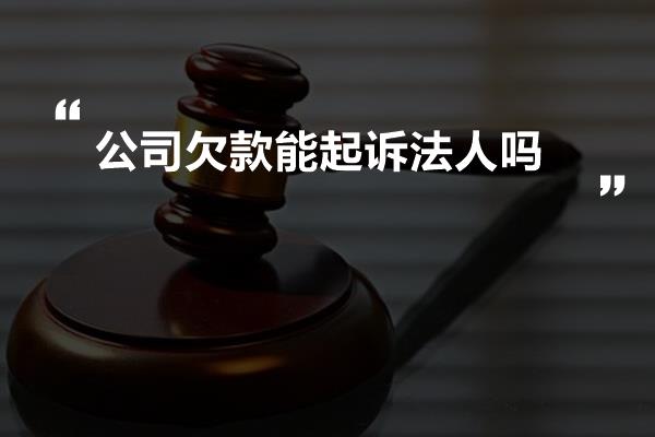 公司欠款能起诉法人吗