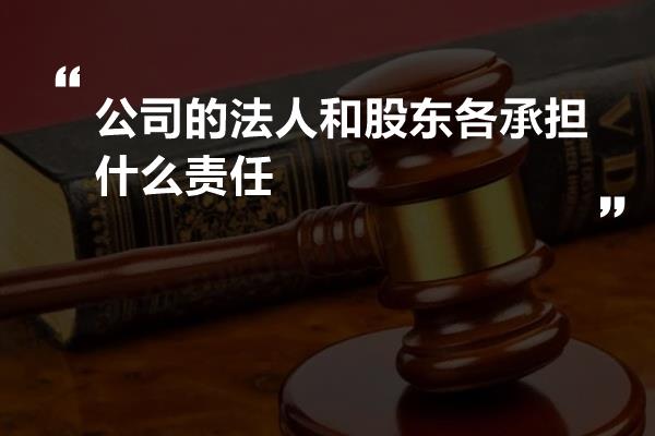 公司的法人和股东各承担什么责任