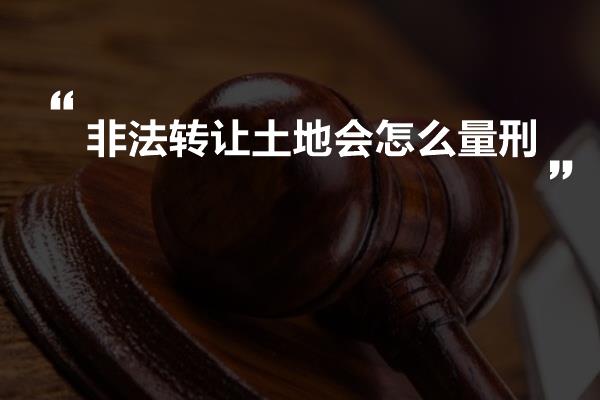 非法转让土地会怎么量刑