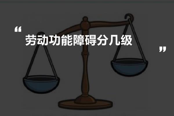 劳动功能障碍分几级