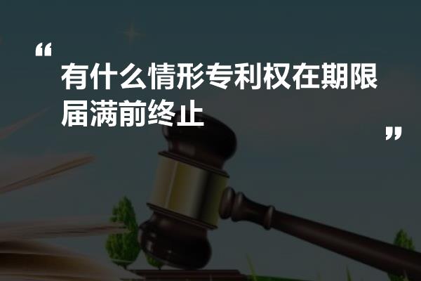 有什么情形专利权在期限届满前终止