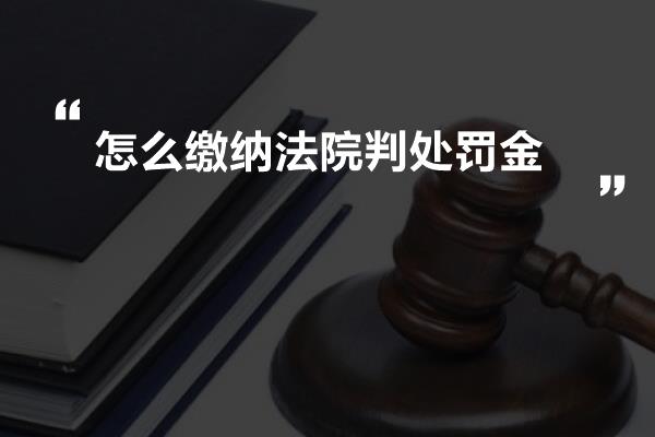 怎么缴纳法院判处罚金