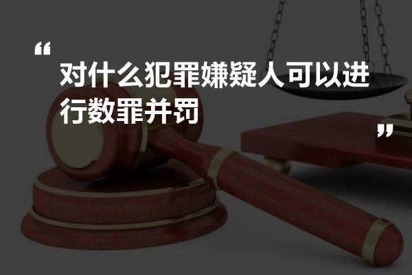 对什么犯罪嫌疑人可以进行数罪并罚