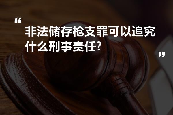 非法储存枪支罪可以追究什么刑事责任?