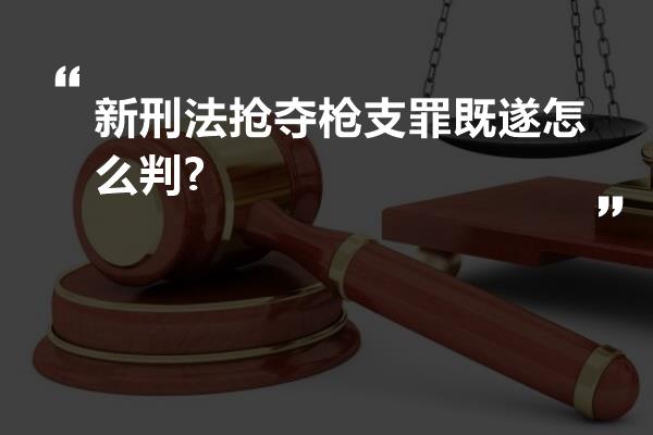 新刑法抢夺枪支罪既遂怎么判?