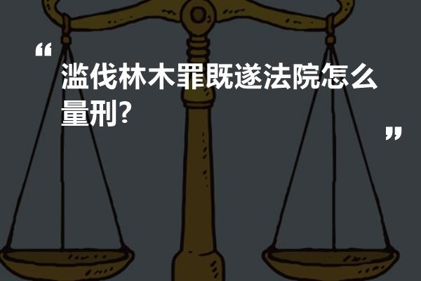 滥伐林木罪既遂法院怎么量刑?