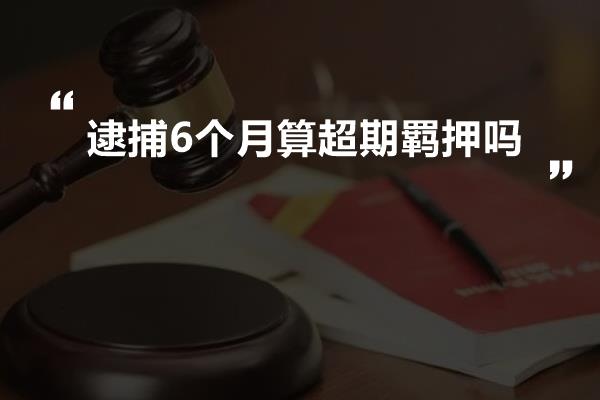 逮捕6个月算超期羁押吗