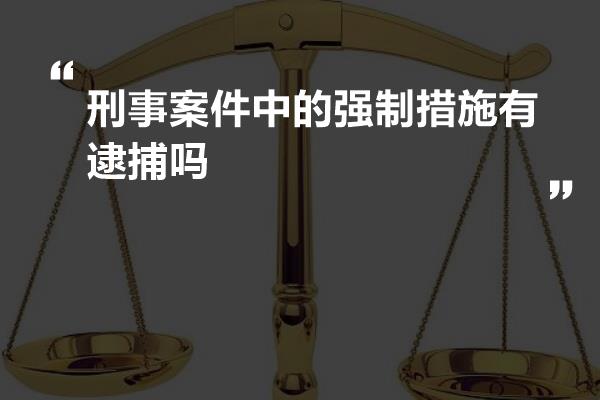 刑事案件中的强制措施有逮捕吗