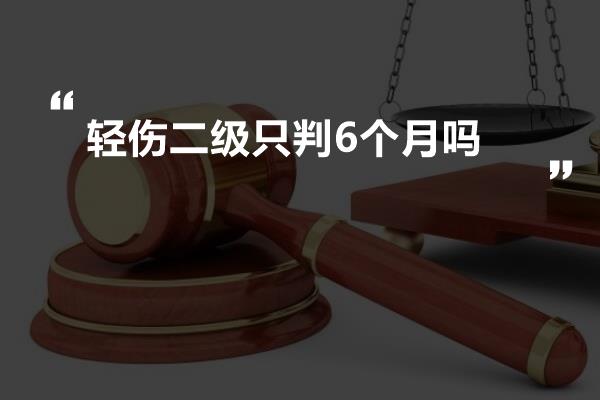 轻伤二级只判6个月吗