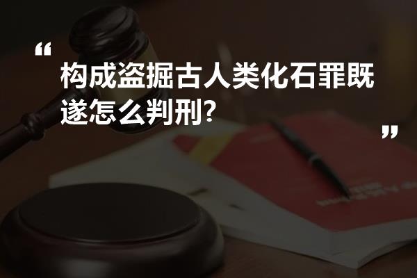 构成盗掘古人类化石罪既遂怎么判刑?