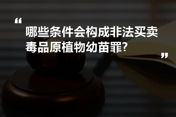 哪些条件会构成非法买卖毒品原植物幼苗罪?