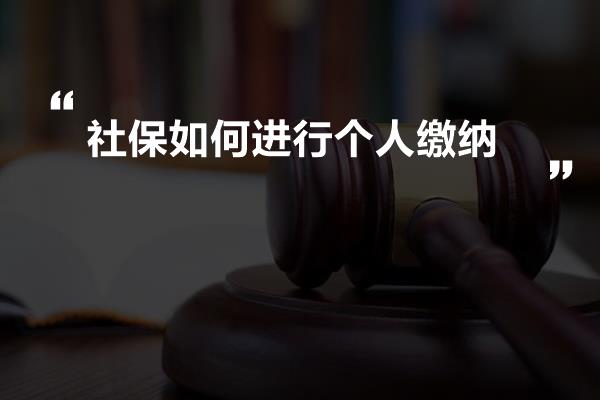 社保如何进行个人缴纳