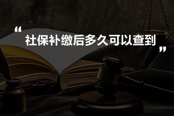 社保补缴后多久可以查到