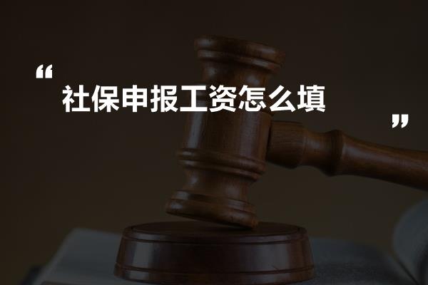 社保申报工资怎么填