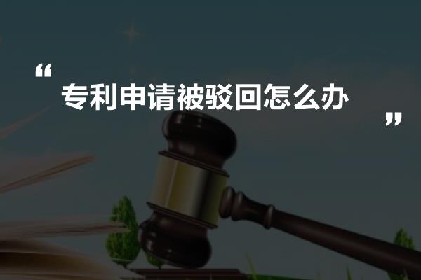 专利申请被驳回怎么办