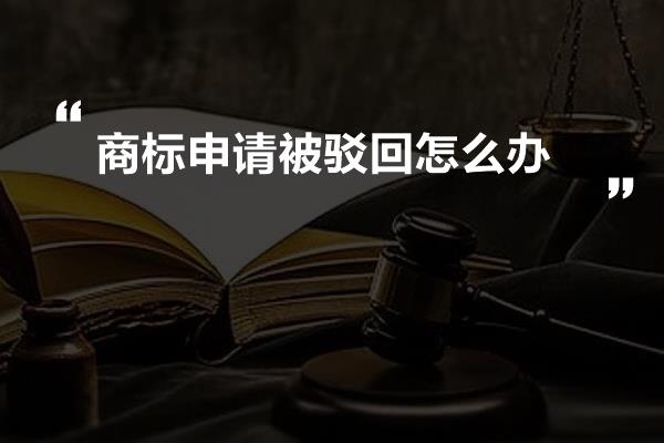 商标申请被驳回怎么办