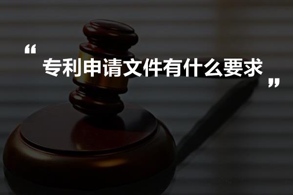 专利申请文件有什么要求