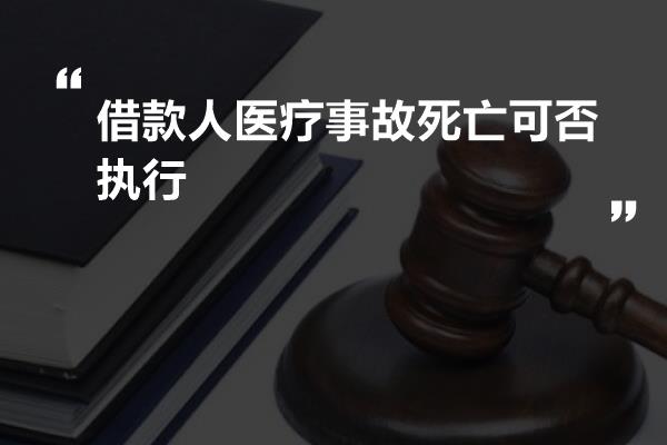 借款人医疗事故死亡可否执行