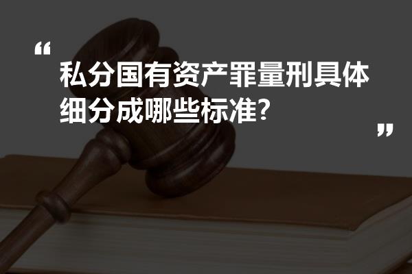 私分国有资产罪量刑具体细分成哪些标准?