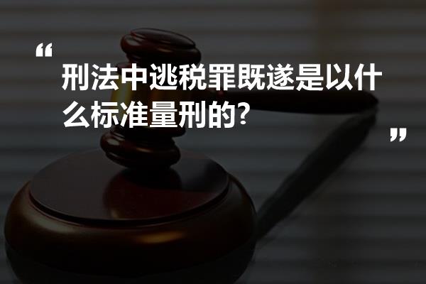 刑法中逃税罪既遂是以什么标准量刑的?