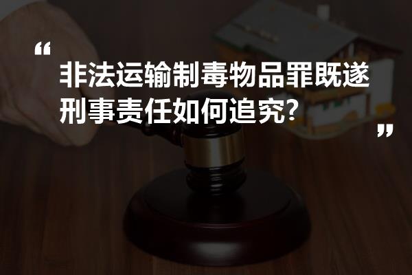 非法运输制毒物品罪既遂刑事责任如何追究?