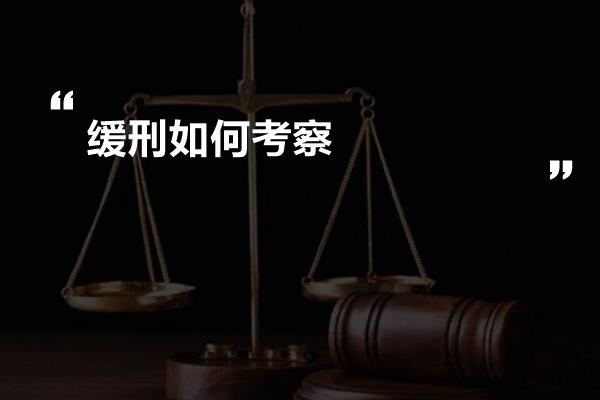 缓刑如何考察