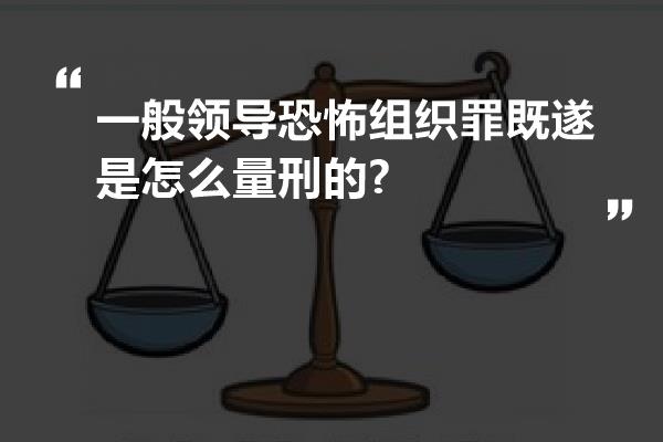 一般领导恐怖组织罪既遂是怎么量刑的?