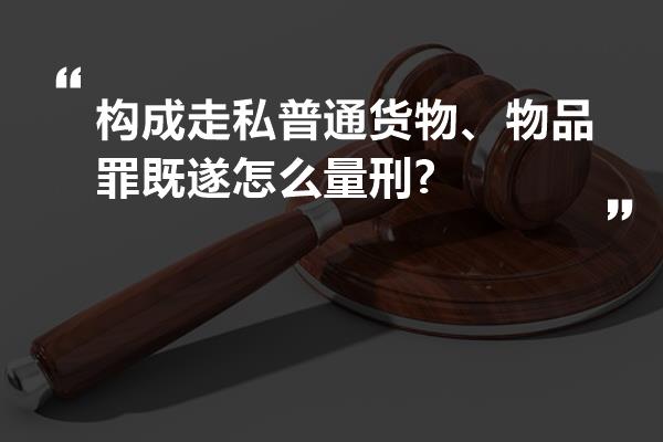 构成走私普通货物、物品罪既遂怎么量刑?