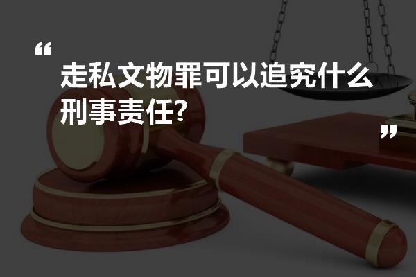 走私文物罪可以追究什么刑事责任?