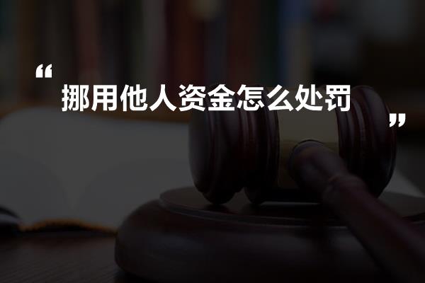 挪用他人资金怎么处罚