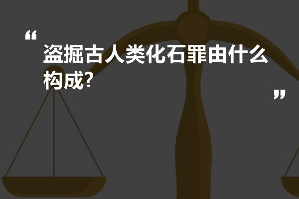 盗掘古人类化石罪由什么构成?