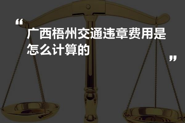 广西梧州交通违章费用是怎么计算的