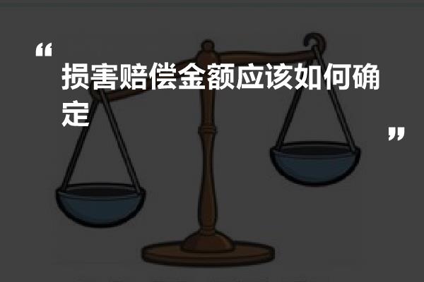 损害赔偿金额应该如何确定