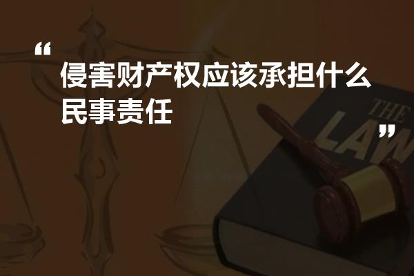 侵害财产权应该承担什么民事责任