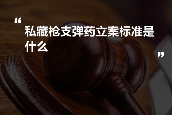 私藏枪支弹药立案标准是什么