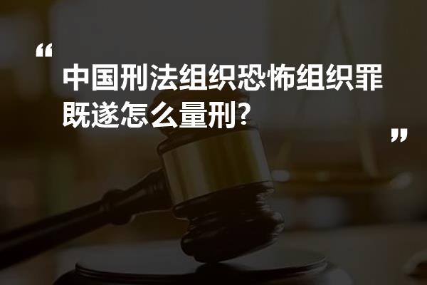 中国刑法组织恐怖组织罪既遂怎么量刑?