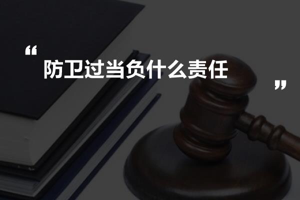 防卫过当负什么责任