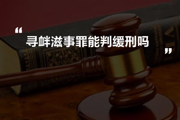 寻衅滋事罪能判缓刑吗