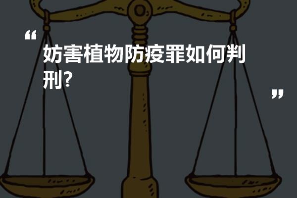 妨害植物防疫罪如何判刑?