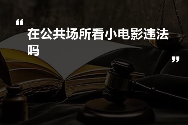 在公共场所看小电影违法吗