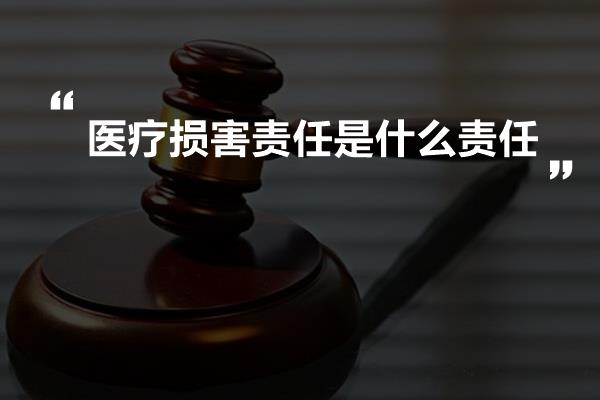 医疗损害责任是什么责任