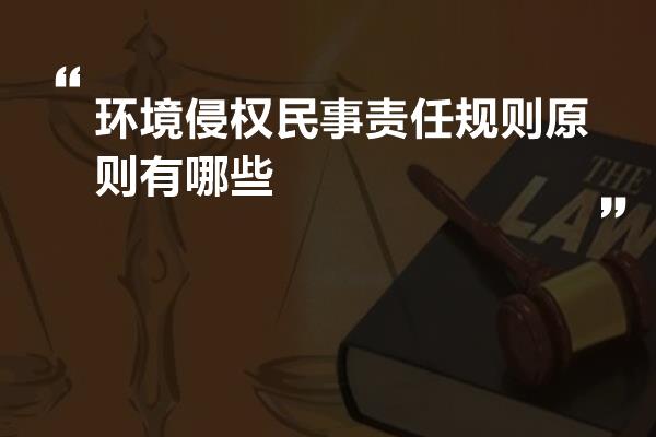 环境侵权民事责任规则原则有哪些