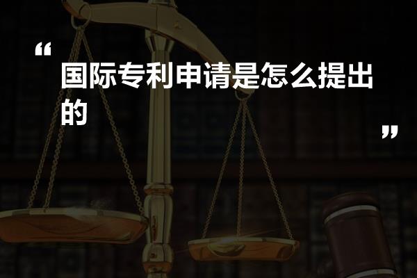 国际专利申请是怎么提出的