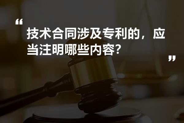 技术合同涉及专利的，应当注明哪些内容？