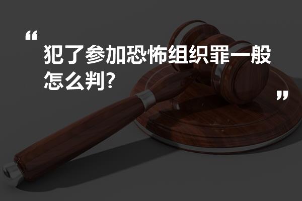 犯了参加恐怖组织罪一般怎么判?