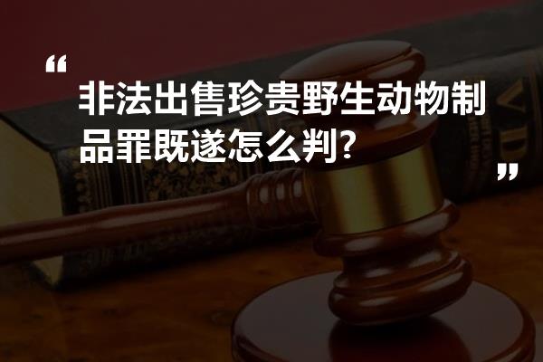 非法出售珍贵野生动物制品罪既遂怎么判?