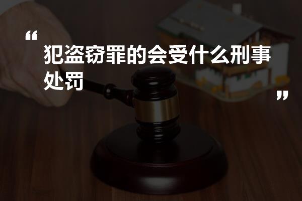 犯盗窃罪的会受什么刑事处罚