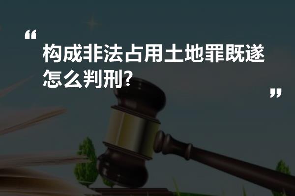 构成非法占用土地罪既遂怎么判刑?